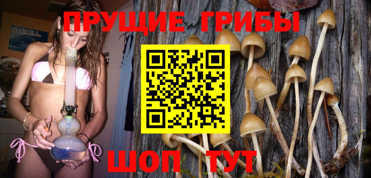 Псилоцибиновые грибы мухоморы Баксан