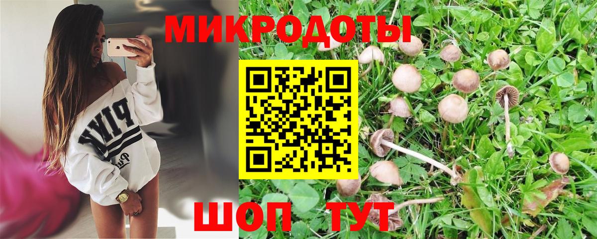 Псилоцибиновые грибы MAGIC MUSHROOMS  Галлюциногенные грибы прущие грибы  Вход с VPN  дарнет шоп  Баксан 