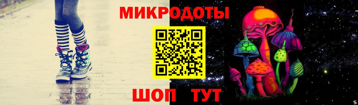 Галлюциногенные грибы Psilocybine cubensis  Баксан 